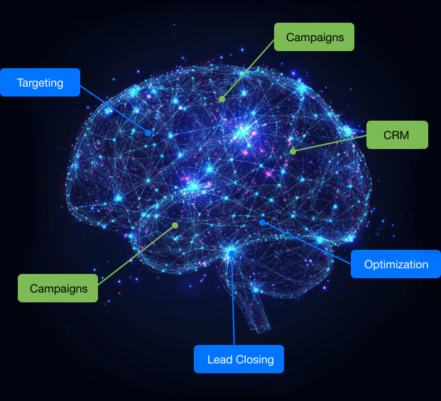 brain-services